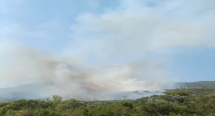 GÜNCELLEME 2 - Muğla'da çıkan orman yangını kontrol altına alındı