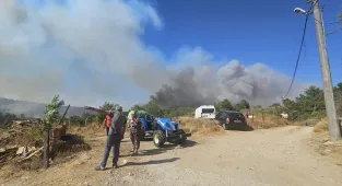 GÜNCELLEME 4 - Çanakkale Gelibolu'da ormanlık alandaki yangına müdahale ediliyor