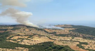 GÜNCELLEME - Aydın'daki tarım arazisi yangınını, kayınpederine kızan gelinin çıkardığı belirlendi