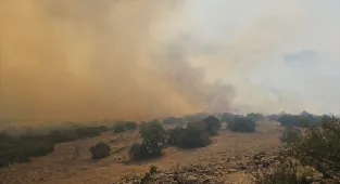 GÜNCELLEME - Balıkesir'de çıkan orman yangını kontrol altına alındı