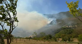 GÜNCELLEME - Bartın'da ormanlık alanda çıkan yangına müdahale ediliyor
