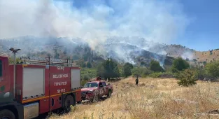 GÜNCELLEME - Bingöl'de ormanlık alanda çıkan yangın kontrol altına alındı