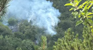 GÜNCELLEME - Bolu'da ormanlık alanda çıkan yangın kontrol altına alındı