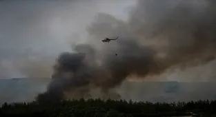 GÜNCELLEME - Bursa'da ormanlık alanda çıkan yangın kontrol altına alındı