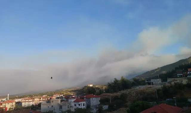 GÜNCELLEME - Denizli'de çıkan orman yangınına müdahale sürüyor