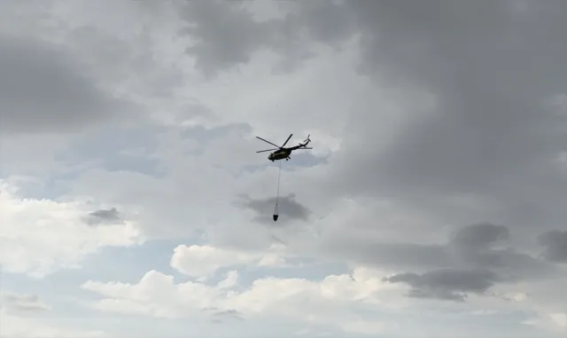 GÜNCELLEME - Edirne'de çıkan orman yangını söndürüldü