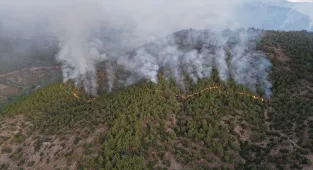 GÜNCELLEME - Hatay'da dün çıkan orman yangınına müdahale ediliyor