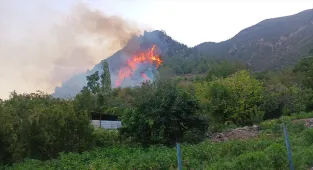 GÜNCELLEME - Hatay Kırıkhan'da çıkan orman yangını kontrol altına alındı