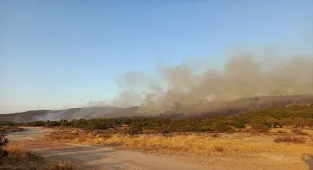 GÜNCELLEME - İzmir'de tarım alanında başlayıp ormana sıçrayan yangın kontrol altında