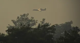 GÜNCELLEME - İzmir'de tarım alanında başlayıp ormana sıçrayan yangına müdahale ediliyor