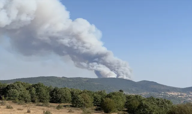 GÜNCELLEME - Karabük'te ormanlık alanda çıkan yangına müdahale ediliyor