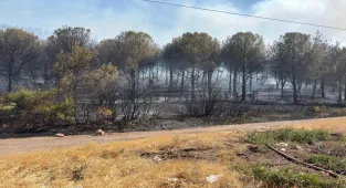 GÜNCELLEME - Manisa Soma'da çıkan orman yangınına müdahale ediliyor