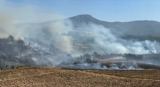 GÜNCELLEME - Osmaniye'de orman yangını çıktı