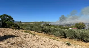 GÜNCELLEME - Osmaniye'de tarladan zeytinliğe sıçrayan yangına müdahale ediliyor