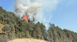 GÜNCELLEME - Sinop'ta çıkan orman yangını kontrol altına alındı