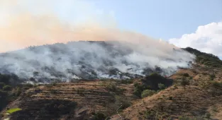 GÜNCELLEME - Tekirdağ'ın Şarköy ilçesinde çıkan orman yangınına müdahale ediliyor