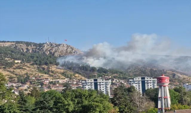 GÜNCELLEME - Tokat'ta ormanlık alanda çıkan yangın kontrol altına alındı