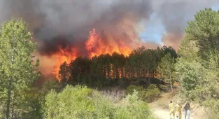 GÜNCELLEME - Uşak'ta ormanlık alanda çıkan yangın büyük oranda kontrol altına alındı