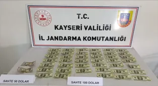 Kayseri'de sahte dolar operasyonunda 1 kişi yakalandı