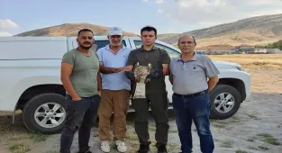 Kırşehir'de vatandaşın yaralı bulduğu yılan kartalı tedaviye alındı