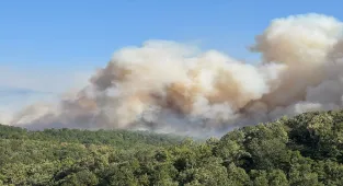 Kocaeli Valiliği, Karamürsel'de çıkan orman yangınının enerjisinin düşürüldüğünü bildirdi