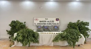 Mardin'de uyuşturucu operasyonunda yakalanan zanlı tutuklandı