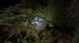 Sarıyer'de çarpışan iki otomobil ormanlık alana düştü, 3 kişi yaralandı