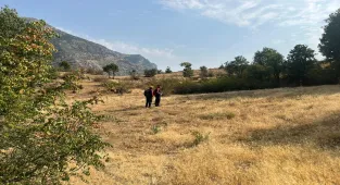 Siirt'te kaybolan zihinsel engelli kişiyi bulmak için arama çalışması başlatıldı