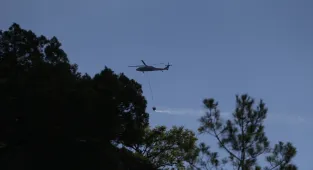 Sinop'ta çıkan orman yangınına müdahale ediliyor