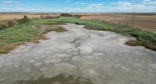 Tekirdağ'da su seviyesi düşen gölette oksijensiz kalan balıklar telef oldu