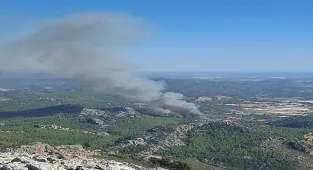 Antalya'da ormanlık alanda yangın çıktı