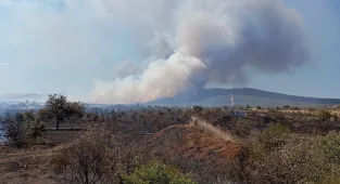 Çanakkale'de tarım arazisinde çıkan yangına havadan ve karadan müdahale ediliyor
