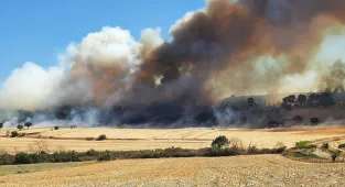 Çanakkale'de zeytinlikten ormana sıçrayan yangına müdahale ediliyor