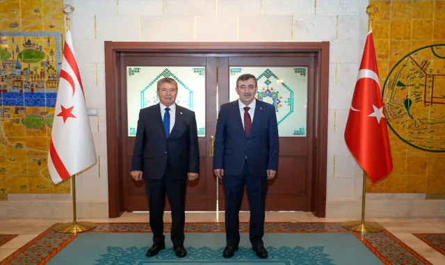 Cumhurbaşkanı Yardımcısı Yılmaz, KKTC Başbakanı Üstel ile görüştü:
