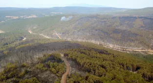 GÜNCELLEME 2 - Karabük'te ormanlık alanda çıkan yangına müdahale sürüyor