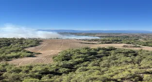 GÜNCELLEME - Adana'nın Sarıçam ilçesinde çıkan orman yangını kontrol altına alındı