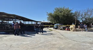 GÜNCELLEME - Aydın'da süt kamyonunun altında kalan 3 yaşındaki çocuk öldü