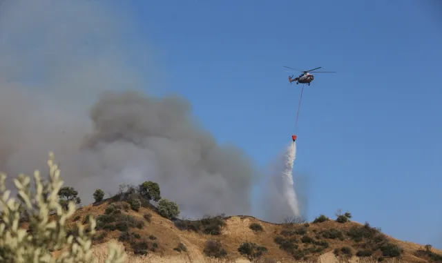 GÜNCELLEME - Aydın'da zeytinlik ve ormanlık alanda çıkan yangına müdahale ediliyor