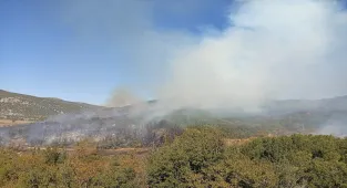 GÜNCELLEME - Burdur'da ormanlık alanda çıkan yangın kontrol altına alındı