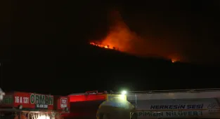 GÜNCELLEME - Bursa'da çıkan orman yangını kontrol altına alındı