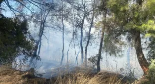 GÜNCELLEME - Manavgat'ta tarım arazisinde başlayıp ormanlık alana sıçrayan yangın kontrol altına alındı