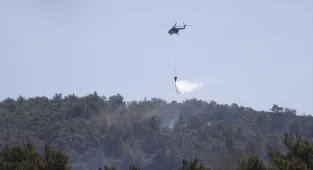 GÜNCELLEME - Milas'ta çıkan orman yangınına havadan ve karadan müdahale ediliyor