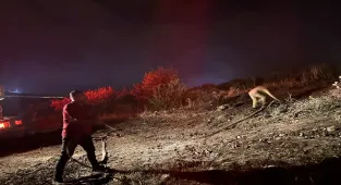 Isparta'da çıkan orman yangını söndürüldü