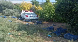 Mersin'de otomobilin zeytin toplayan işçilere çarptığı kazada ölü sayısı 2'ye çıktı