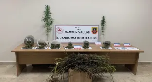 Samsun'da uyuşturucu operasyonunda 1 şüpheli yakalandı