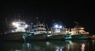 Samsunlu balıkçılar vira bismillah diyerek denize açıldı