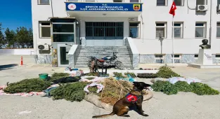 Şanlıurfa'da uyuşturucu operasyonunda 3 şüpheli yakalandı