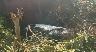 Sarıyer'de kontrolden çıkarak evin bahçesine düşen otomobilin sürücüsü yaralandı