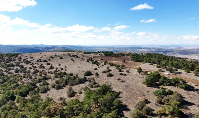 Akdağmadeni'nde Ak Çam Konaklamalı Orman Parkı projesinde çalışmalar başladı