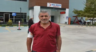 Kastamonu'da ayıdan kaçarken düşen çiftçi yaralandı